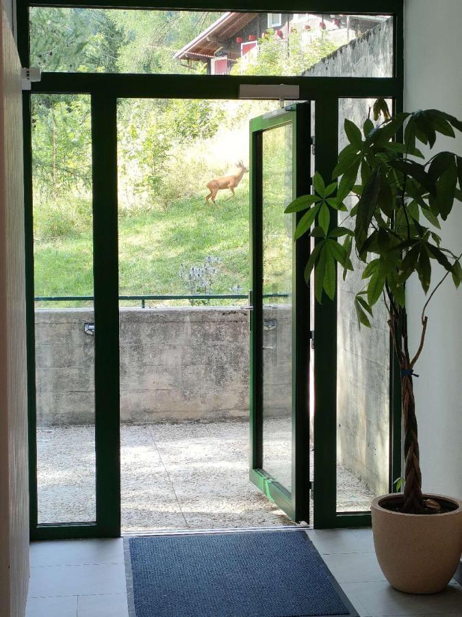 Center, Sauna, View - Haus Linaria 洛伊克巴德 外观 照片